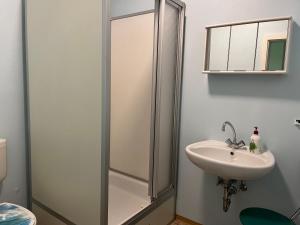 a bathroom with a shower and a sink at Pension Gasthaus Schützenhaus in Waldenburg