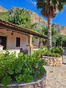 a house with a palm tree and some plants at Cala Dell'Arena in Macari