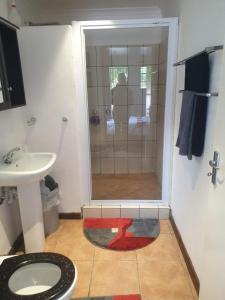 een badkamer met een douche, toilet en wastafel bij Cape Cottage in Kaapstad