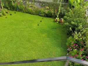 Giardino di Mountain View