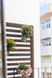 Vườn quanh LOIRA LA VIA Encanto en Zona Residencial