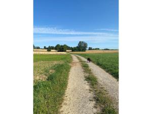 Gallery image of Ferienwohnung Sußebach in Vöhringen