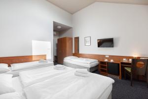 pokój hotelowy z 3 łóżkami i telewizorem w obiekcie Hotel Beránek w Pradze +37 zdjęć