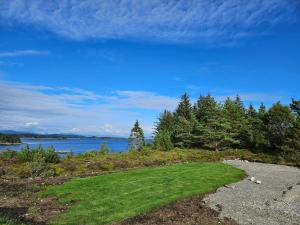 een veld van groen gras naast een waterlichaam bij Eksklusiv hytte i skjærgården! in Austevoll