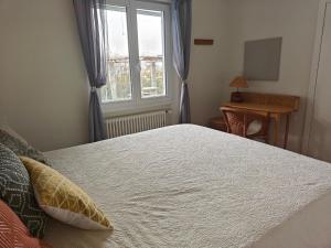 a bedroom with a bed and a window and a desk at Casa Alla Vigna - Lugano in Pregassona +27 photos