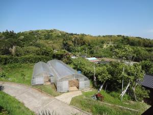 Gallery image of Farm Inn Minamiboso in Minamiboso