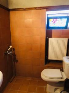 a bathroom with a toilet and a television in it at Χαγιάτι in Psarades