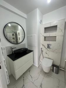 a bathroom with a sink and a toilet and a mirror at Très beau logement chic & cosy in Bonneuil-sur-Marne