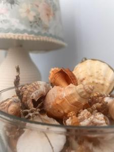 a glass jar filled with different types of nuts at Ingrid Residence in Ocna-Mureşului +11 photos