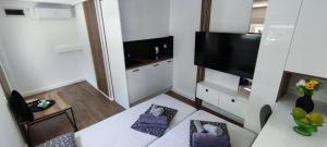 Μια τηλεόραση ή/και κέντρο ψυχαγωγίας στο El Higo Apartments