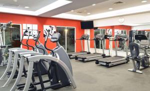 Fitness centrum a/nebo fitness zařízení v ubytování Radisson Poliforum Plaza Hotel Leon