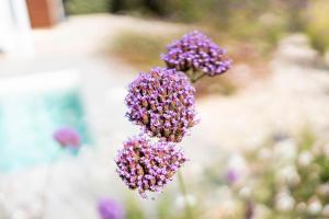 Afbeelding uit fotogalerij van CASA OSALA in Orosei