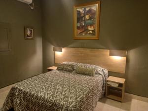 a bedroom with a bed and a picture on the wall at Temporarios Santiago in Santiago del Estero