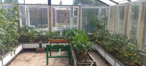 Giardino di Sevan Backstage Garden