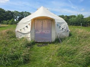 Zahrada ubytování Freespirit Glamping