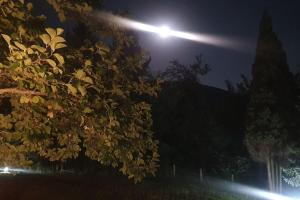 a street light at night with a tree at WOLF'S PLANE Luxury Isolated Mountain House for Digital Nomads in Fojnica +70 photos