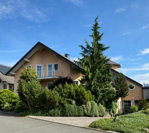 a house with a pine tree in front of it at Ferienwohnung Feiden Eifel-Mosel Lounge in Greimersburg