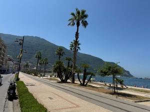 un palmier dans une rue à côté de la plage dans l'établissement St. Vincent Apartment, à Castellammare di Stabia