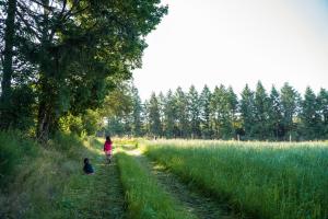 Una donna e un bambino che camminano lungo un sentiero in un campo di Camping Um Bierg a Houschthauser