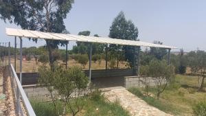 Vrt pred nastanitvijo Apartamentos Beach Tahadart, Asilah