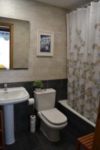 ein Badezimmer mit Toilette, Waschbecken und Dusche in der Unterkunft Ventanal de Saras Petfriendly Garaje Trastero y Chimenea - Arafita Apartamentos in Panticosa + 37 Fotos