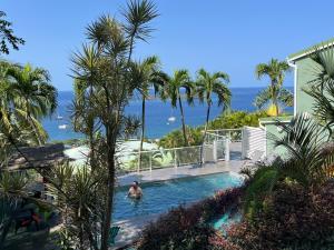 Kolam renang di atau dekat dengan Logements Vue Mer accès piscine en Guadeloupe