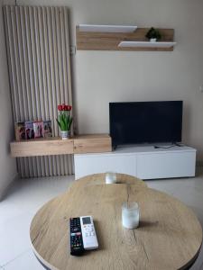 TV a/nebo společenská místnost v ubytování Aron Home