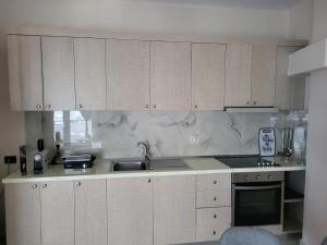 Kuhinja oz. manjša kuhinja v nastanitvi Aron Home
