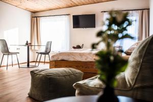 TV a/nebo společenská místnost v ubytování Apartmány ZeMě