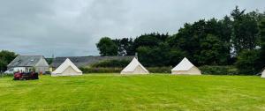 a group of tents sitting in a field at Yule Tree Campsite in Helston