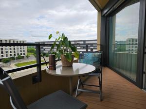 een balkon met een tafel en een plant erop bij Erlenmatt in Bazel