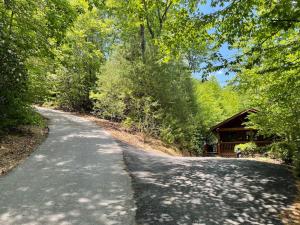 una strada che conduce a una cabina nel bosco di Two Bears Cabin a Blue Ridge