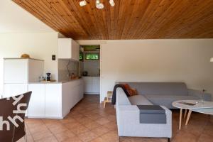 a living room with a couch and a table at Vrijstaande vakantiewoning dichtbij het Veerse Meer in Wolphaartsdijk