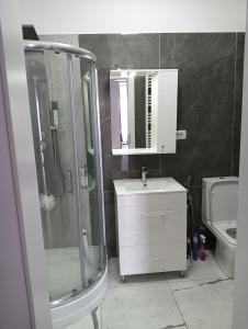 a bathroom with a shower and a sink and a mirror at Charlye Apartament in Craiova +10 photos