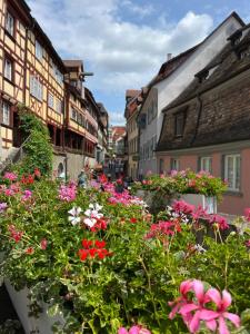 a group of flowers in a street with buildings at Burgblick-Romantik für 2 mit Seesicht in Meersburg