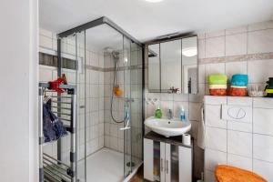 a bathroom with a shower and a sink at Ferienwohnung im Burgenland in Schleberoda +14 photos