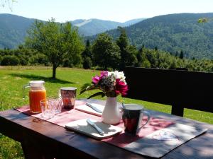 einen Picknicktisch mit einer Vase aus Blumen und Getränken in der Unterkunft Reesbauernhof in Oberried