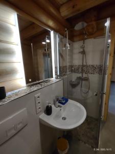 ein Badezimmer mit Waschbecken und Dusche in der Unterkunft Blockhaus eighteen in Rieden + 25 Fotos