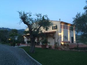 a large white house with a tree in the yard at Casale Olea in Massarosa