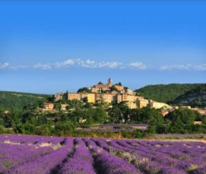 a field of purple flowers in front of a castle at Studio 1 - Appart'hôtel avec terrasse, CLIM, WIFI - TU ELLETA in Tulette