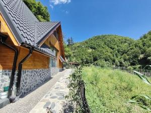a house with a pathway next to a building at Cabana A Brezoi in Brezoi