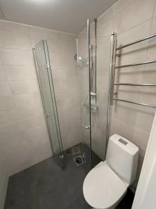 a bathroom with a toilet and a glass shower at Smart 32m2 studio in a central location - Kallio in Helsinki
