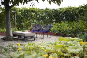 Fotografie z fotogalerie ubytování Vigne Di Fagnano - Langhe, Cuneo v destinaci Santo Stefano Belbo