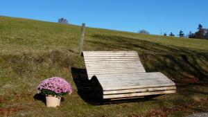 Eine Bank und ein Blumentopf auf einem Feld in der Unterkunft Reesbauernhof in Oberried