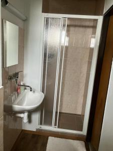 Koupelna v ubytování Apartmány Hamříkova stáj