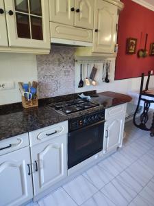 a kitchen with white cabinets and a stove top oven at La Sierra del Aguanaz in Entrambasaguas