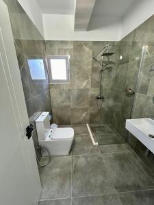 een badkamer met toilet, douche en wastafel bij River Residence in Orikum