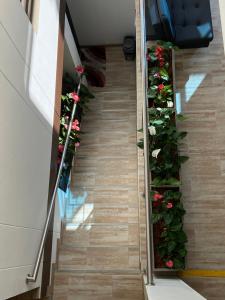 Foto dalla galleria di Hotel Campo Real a Rionegro