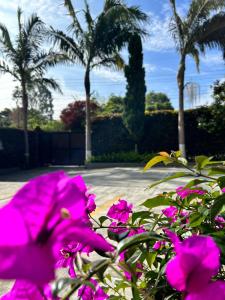 Giardino di Hotel Campo Real