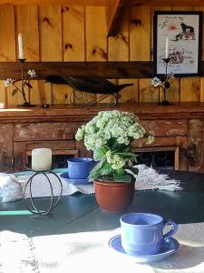 a table with two cups and a potted plant on it at Na'raucária in Cambará